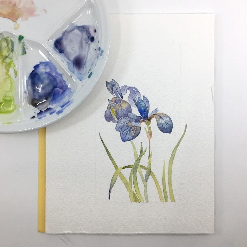 Watercolor flowers - image 3 - student project