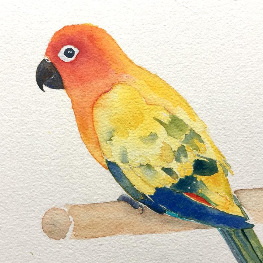 Colorful fella - image 6 - student project