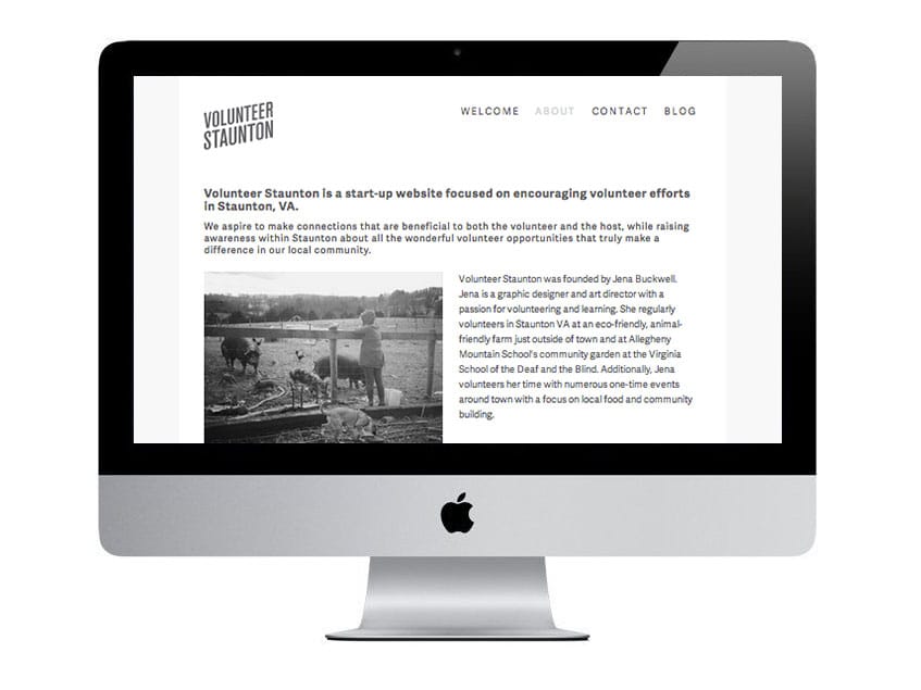 Volunteer Staunton - image 7 - student project