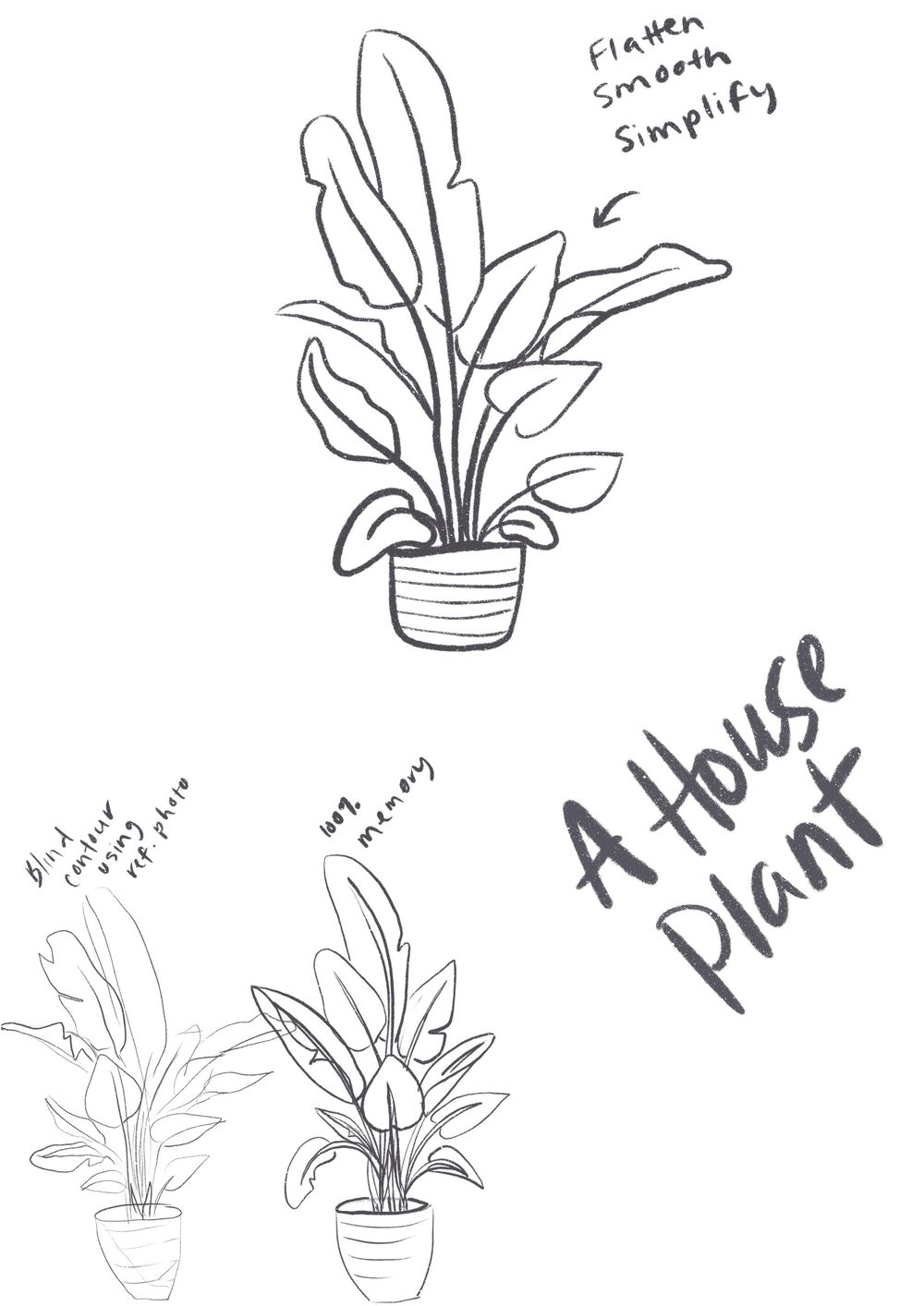 What’s that plant again? - image 4 - student project
