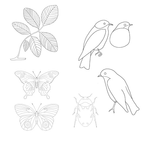 Echoes of Nature - Collection by Bia Andrade - image 3 - student project