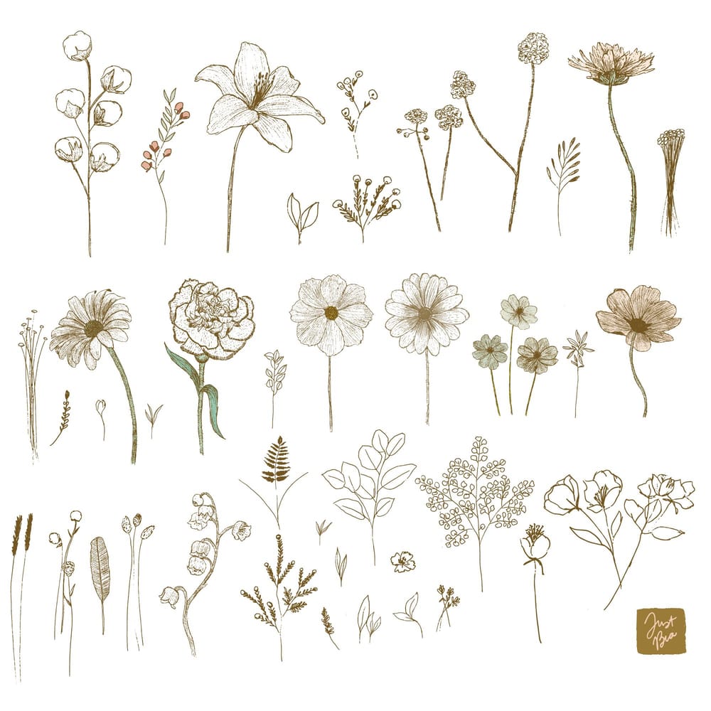 Botanicals by Bia - image 1 - student project