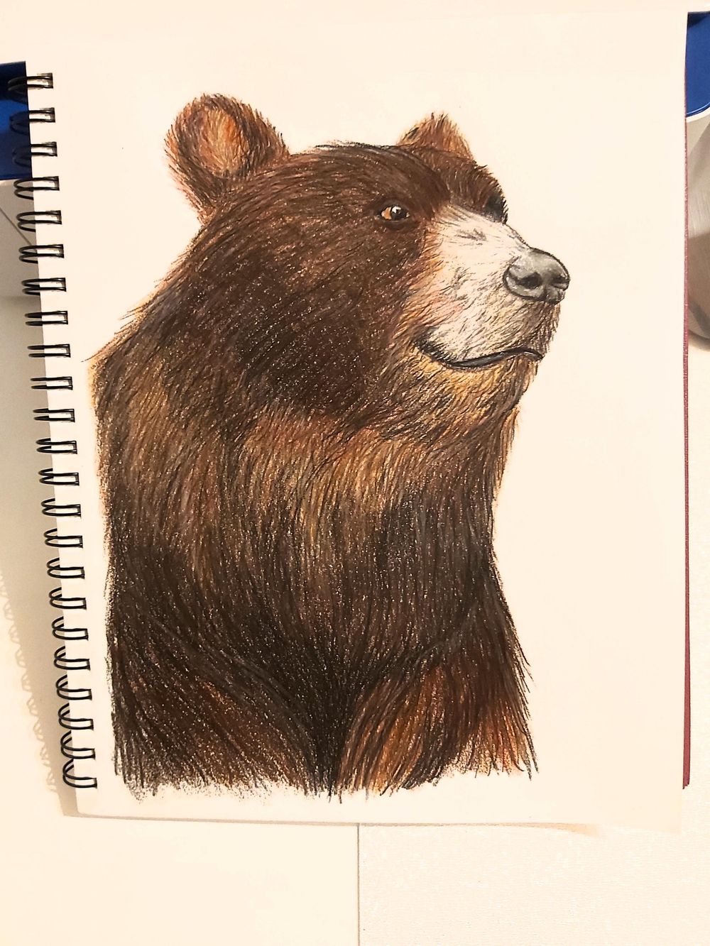 Bear - image 1 - student project
