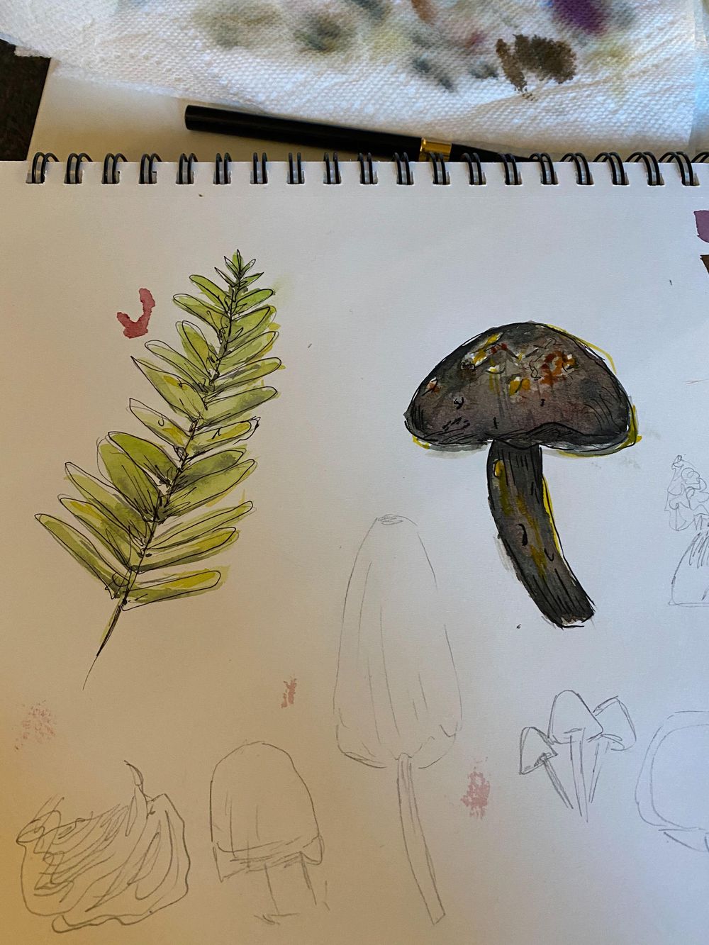mushrooms! - image 1 - student project