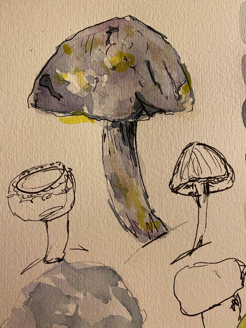 mushrooms! - image 2 - student project