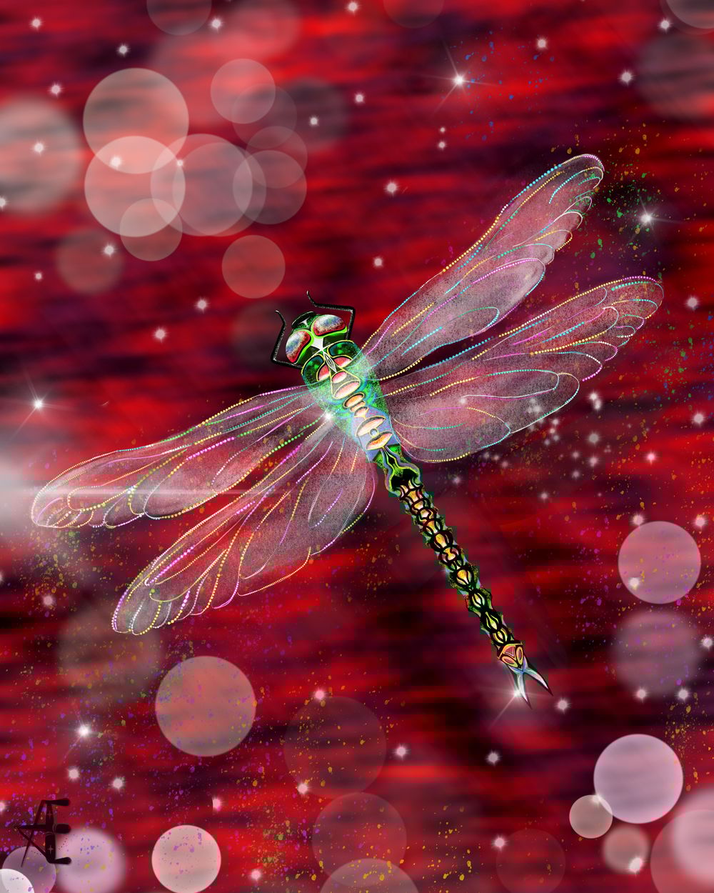 Dragonfly - image 1 - student project