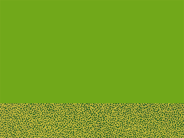 Ducks - image 1 - student project