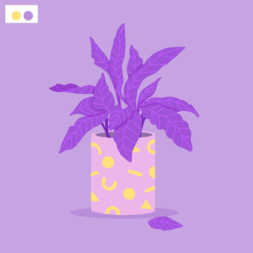 My colours - image 5 - student project