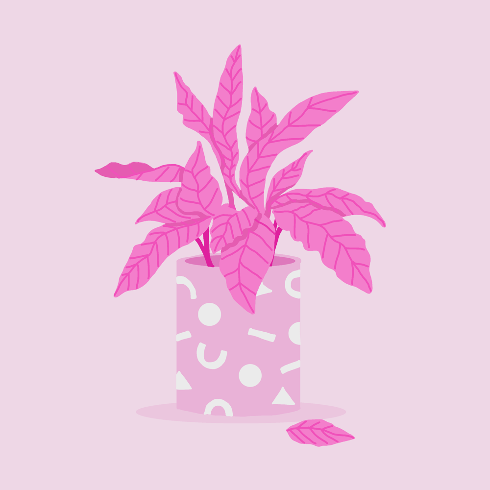 My colours - image 3 - student project
