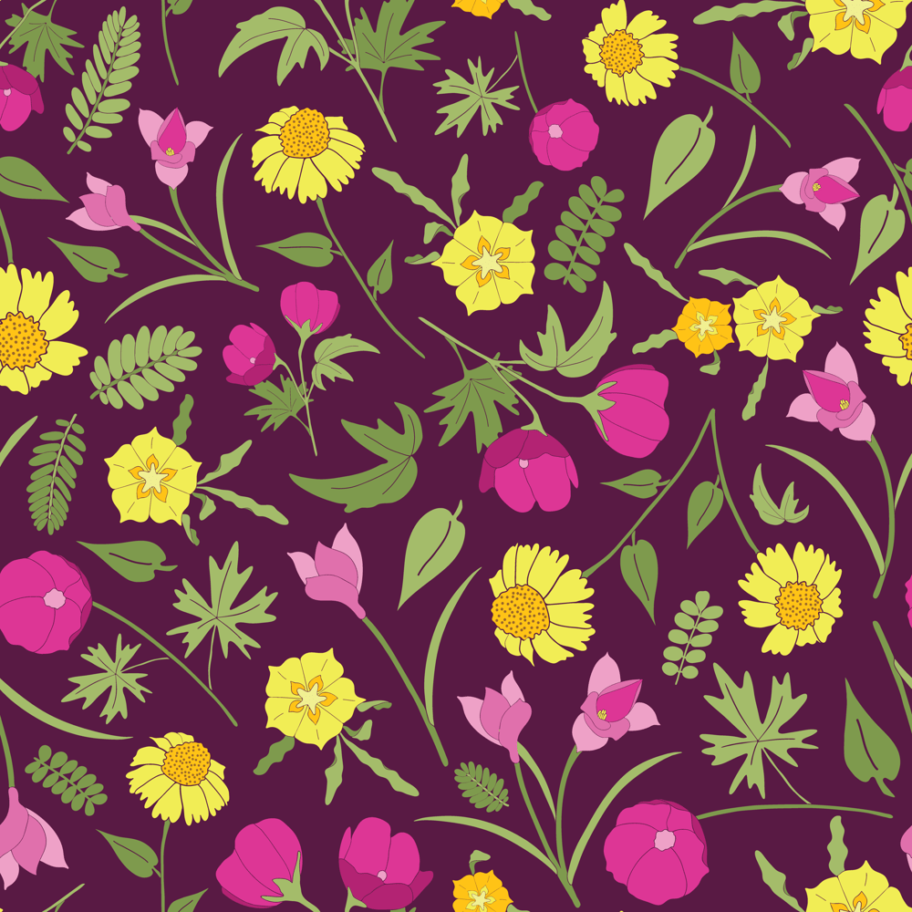 Lady Bird - image 2 - student project