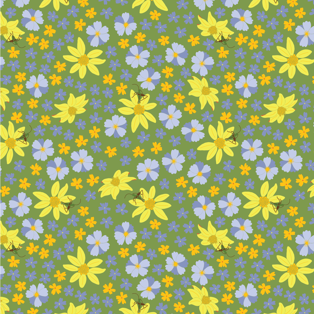 Lady Bird - image 11 - student project