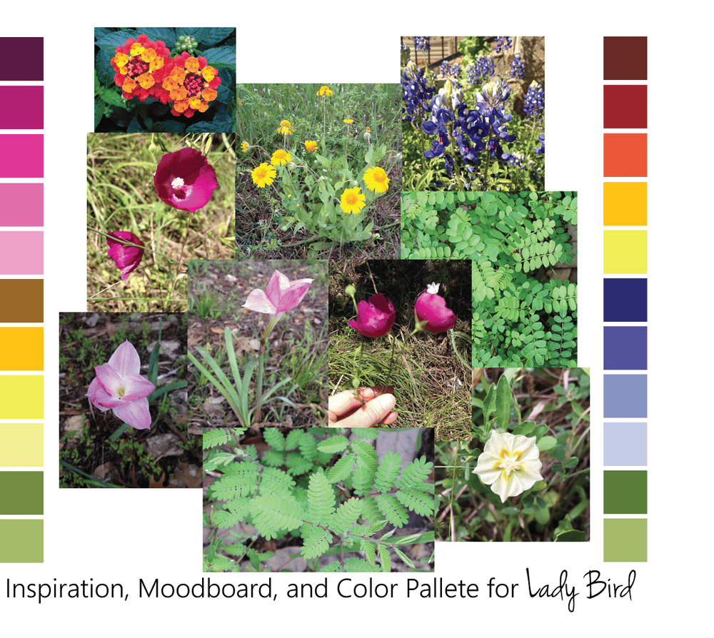Lady Bird - image 1 - student project