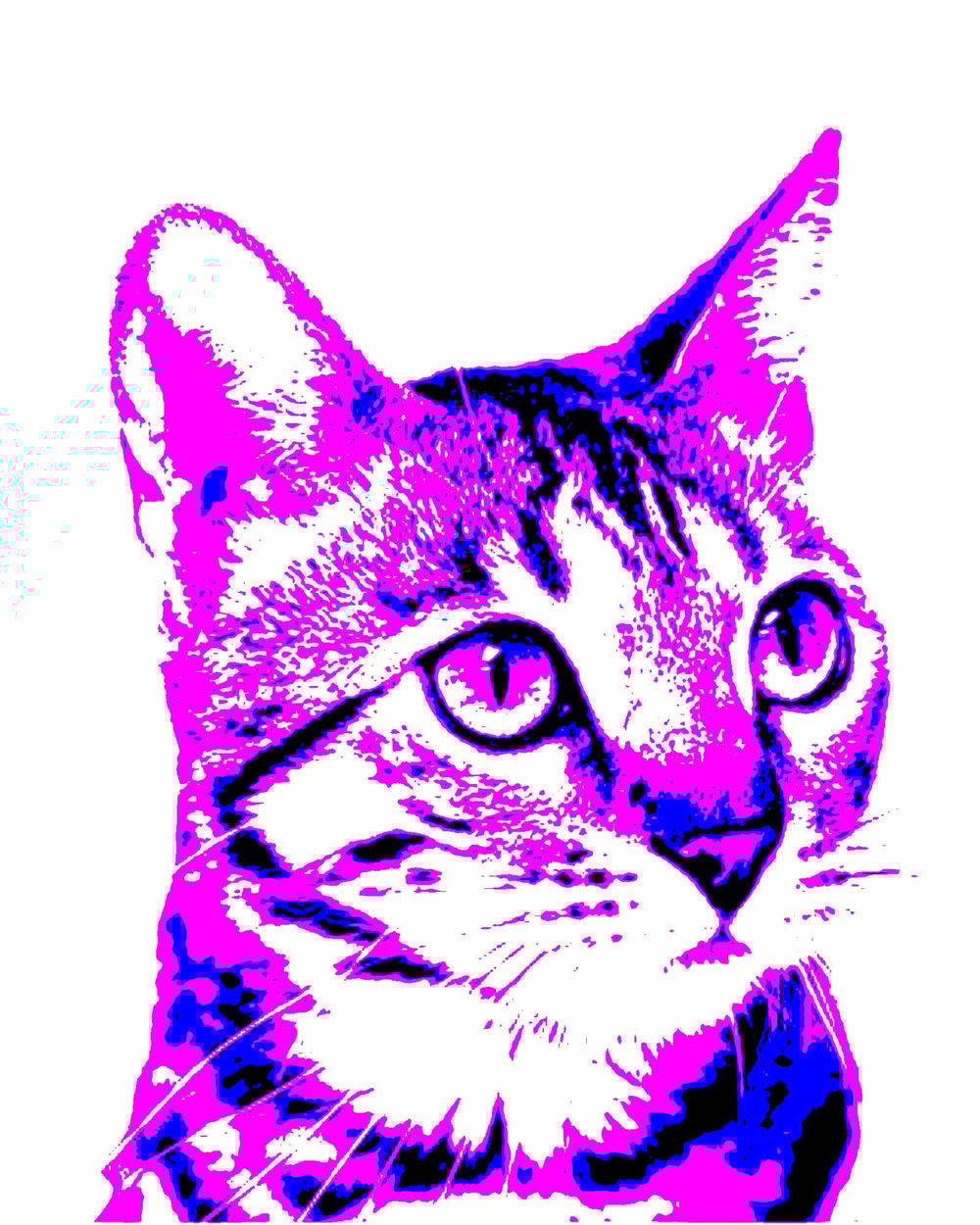 Purrrrfect Subject - image 3 - student project