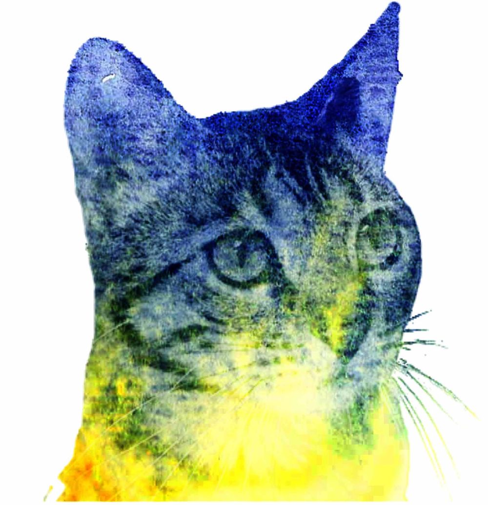 Purrrrfect Subject - image 2 - student project