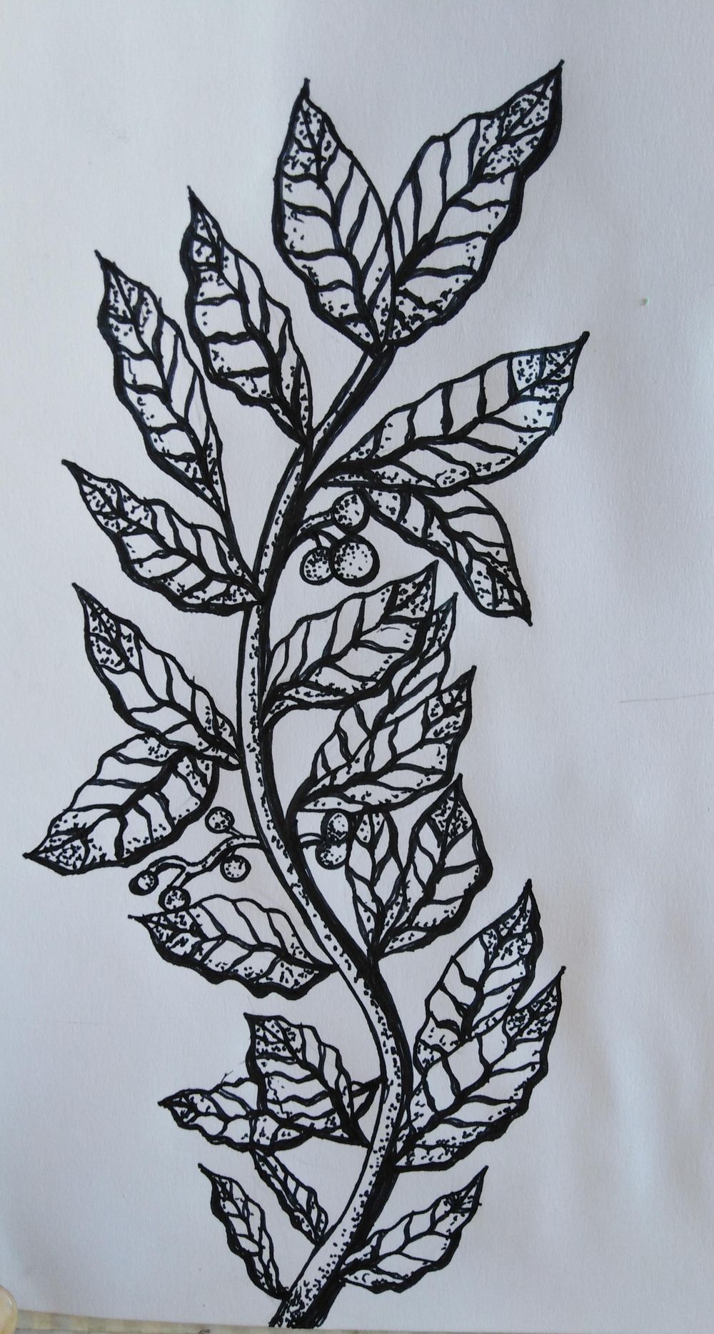 Leaves and Barries - image 1 - student project