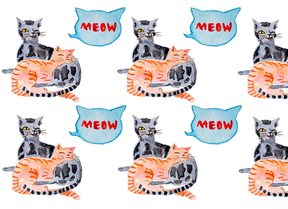 Cat pair pattern - image 2 - student project