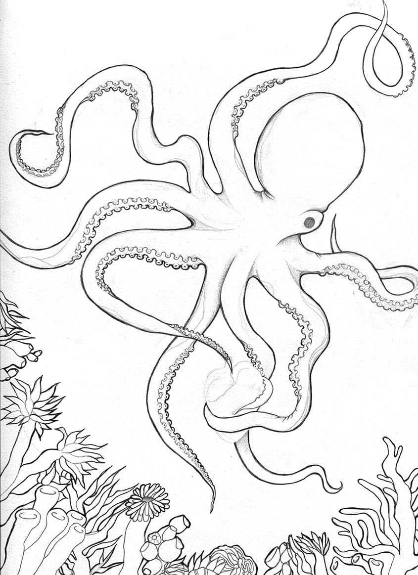 Mr. Octopus - image 2 - student project
