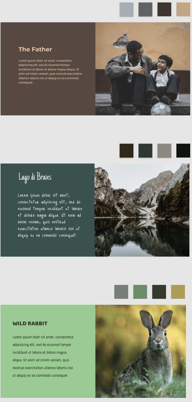 My project - image 7 - student project