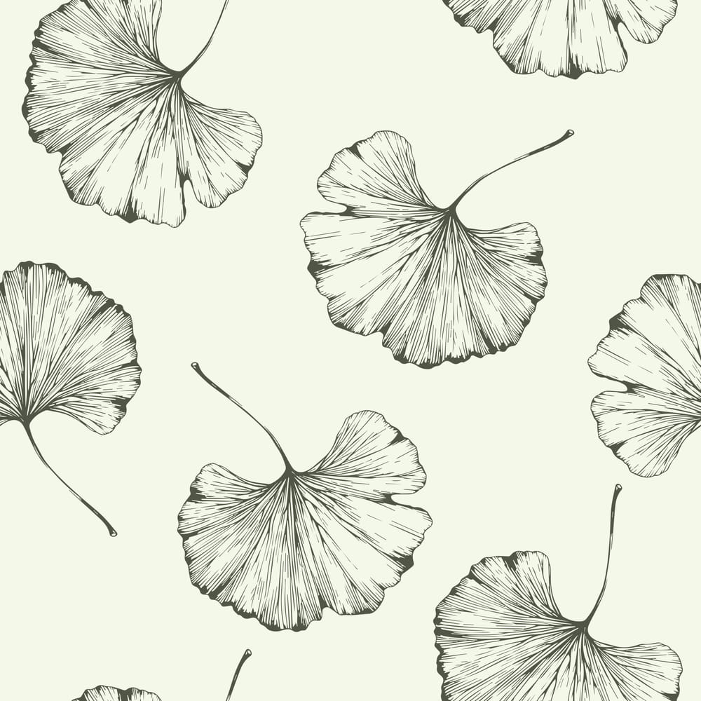 Wow I learned so much! - image 2 - student project