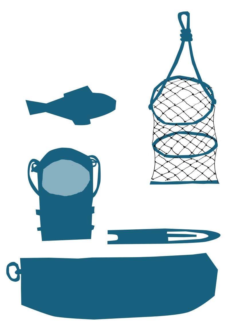 My Fishery - image 10 - student project