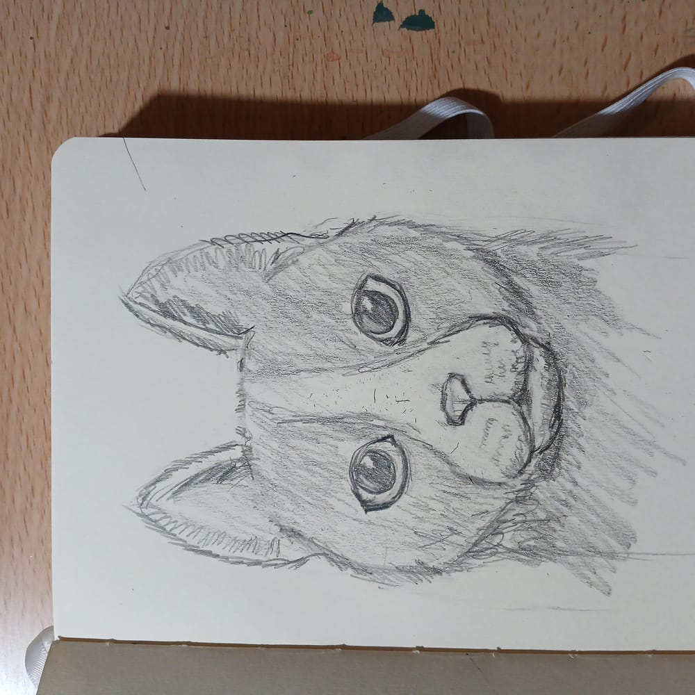 My cat drawing, loosly after my own - image 1 - student project