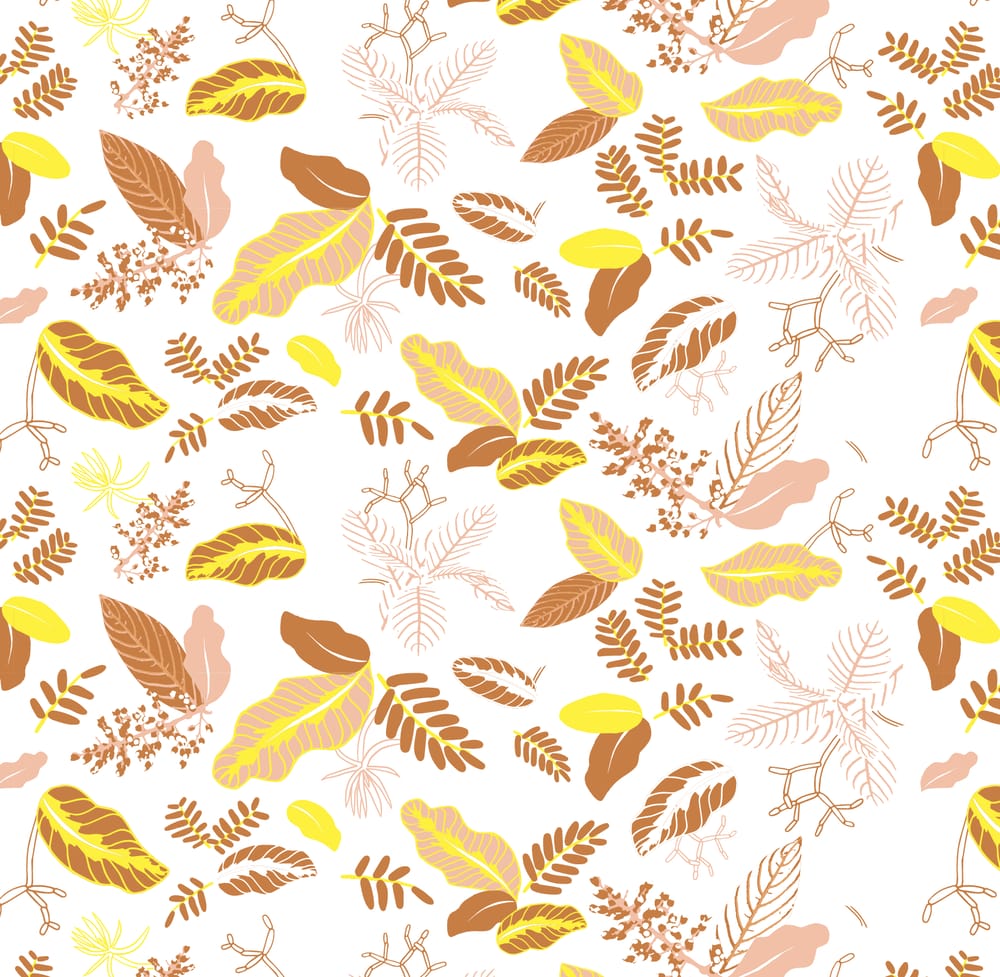 Graphic Conservatory  - image 16 - student project