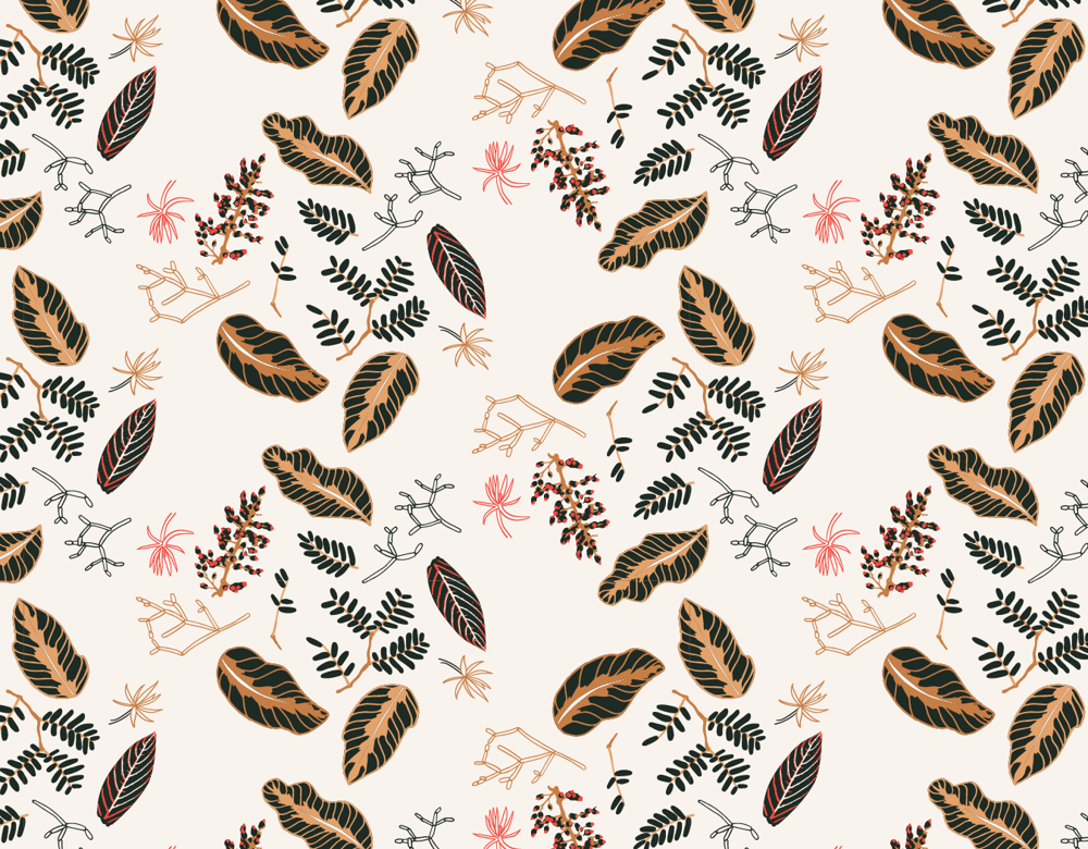Graphic Conservatory  - image 17 - student project