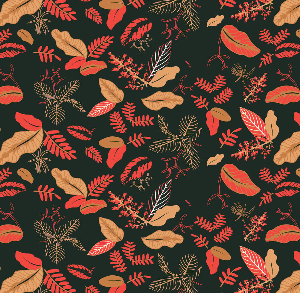 Graphic Conservatory  - image 15 - student project