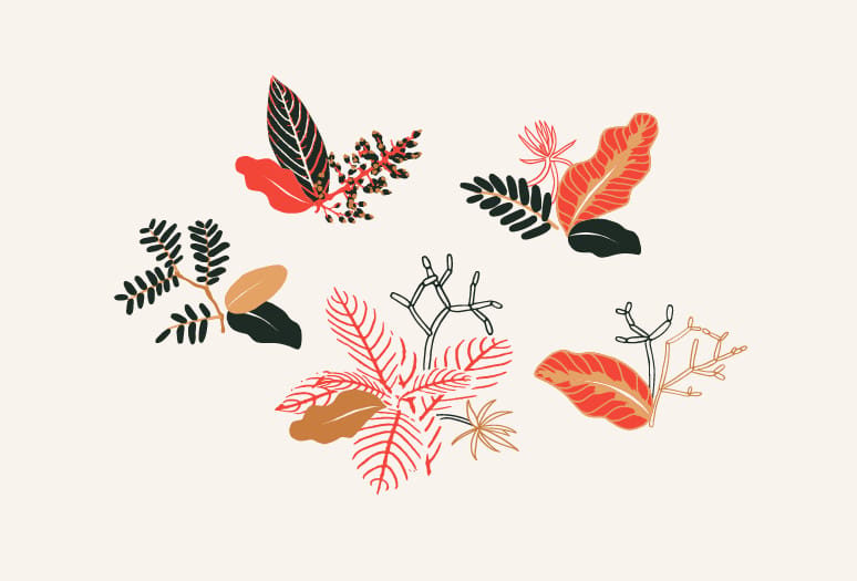 Graphic Conservatory  - image 11 - student project