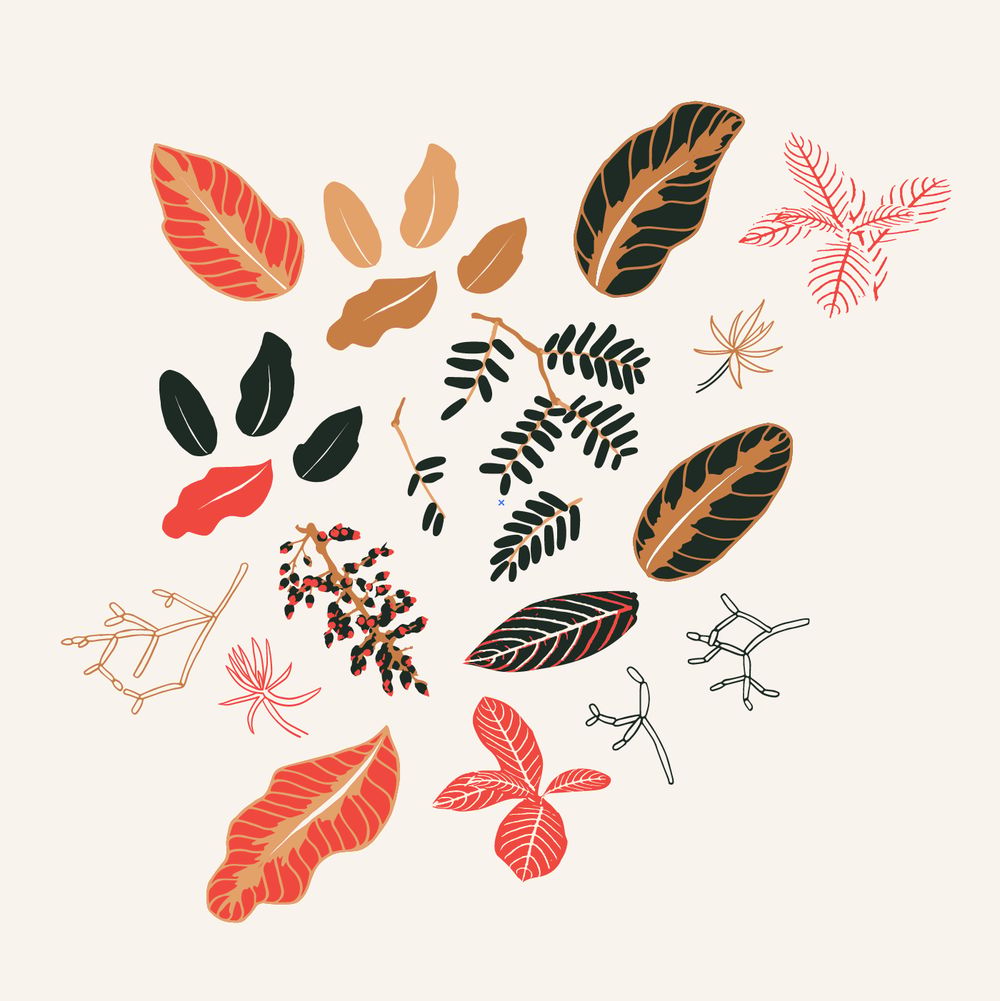 Graphic Conservatory  - image 8 - student project