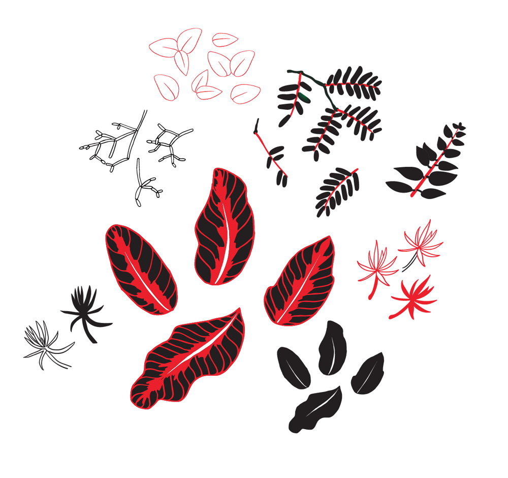 Graphic Conservatory  - image 4 - student project