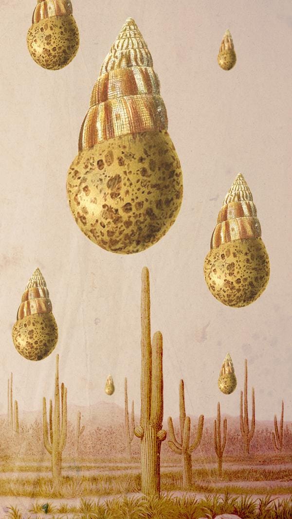 Egg Shell Visitors + Warriors Ink - image 4 - student project