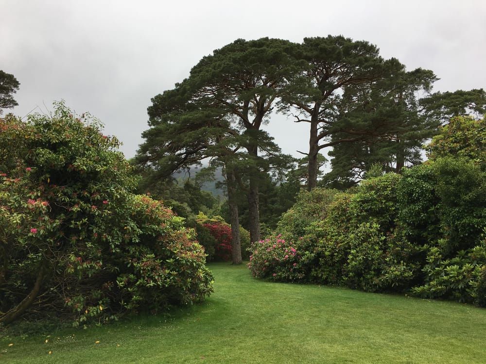 Muckross Gardens - image 1 - student project