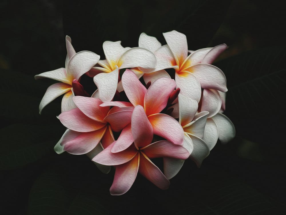 Photoshop Essentials Projects - Alice - image 9 - student project