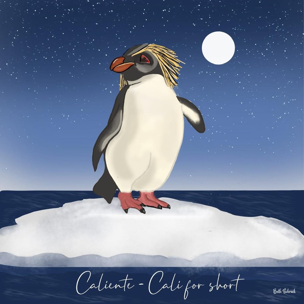 My Penguin | Skillshare Student Project