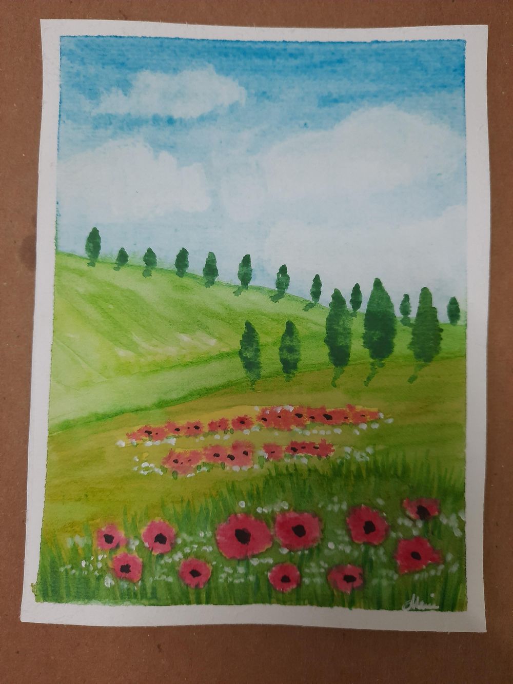 Poppies in the meadow - image 1 - student project