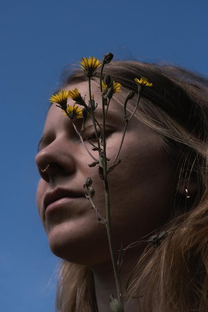 Mid-Summer Flowers - image 2 - student project