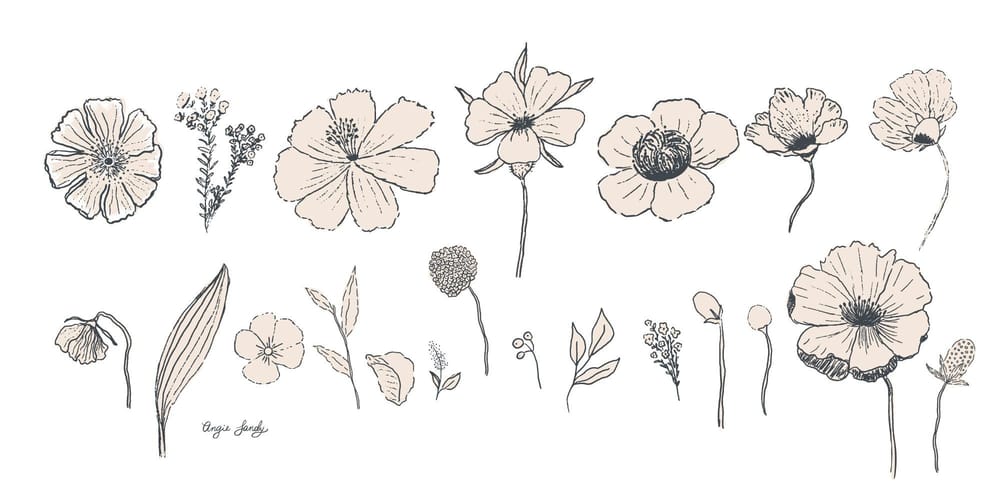 Florals by Angie Sandy - image 1 - student project