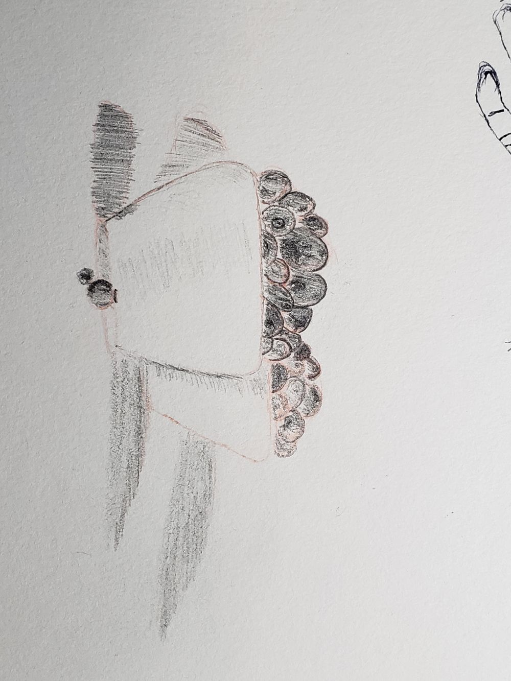 Pencil Study; Black and White Study - image 2 - student project