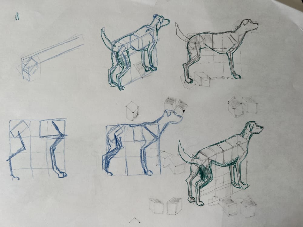Box dogs - image 2 - student project