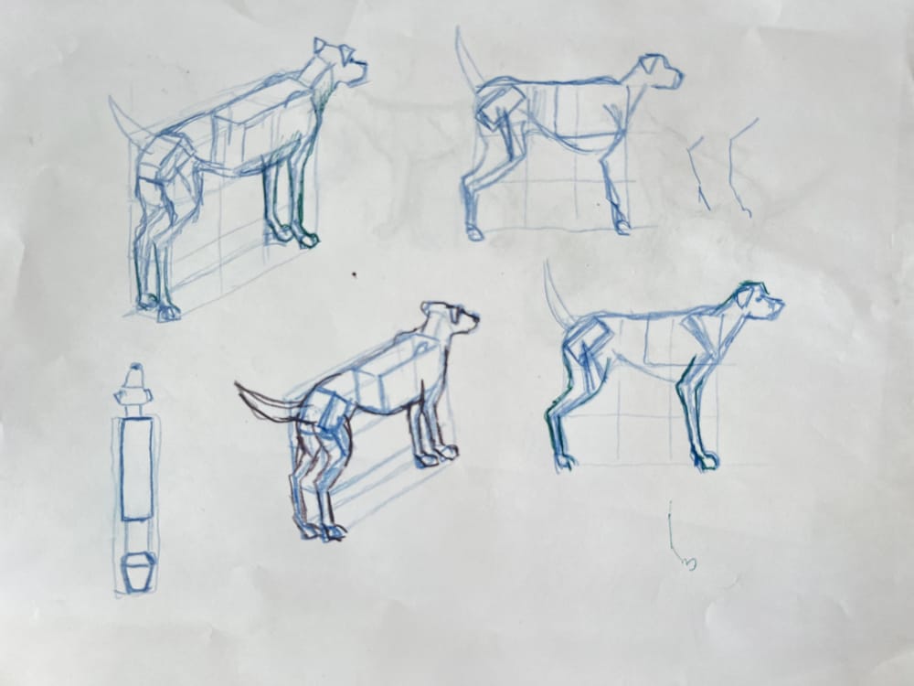 Box dogs - image 3 - student project