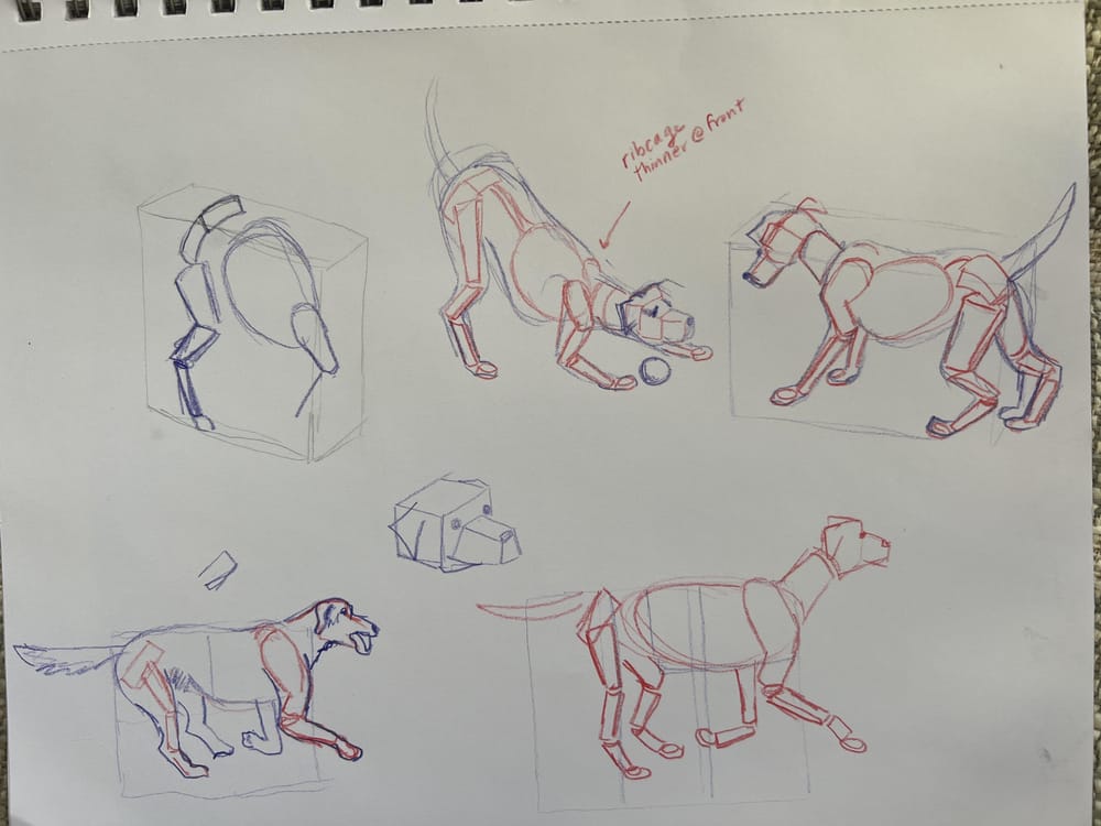 Box dogs - image 4 - student project