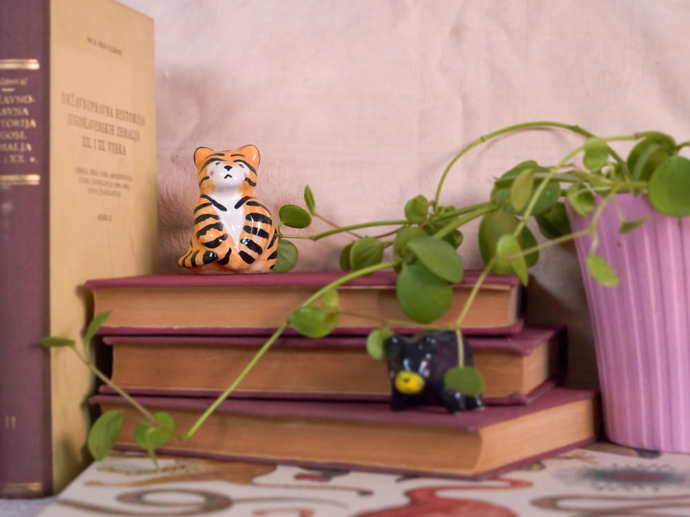 majoliCAT fall product photoshoot - image 2 - student project