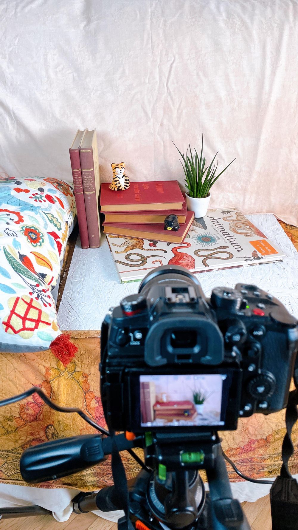 majoliCAT fall product photoshoot - image 4 - student project