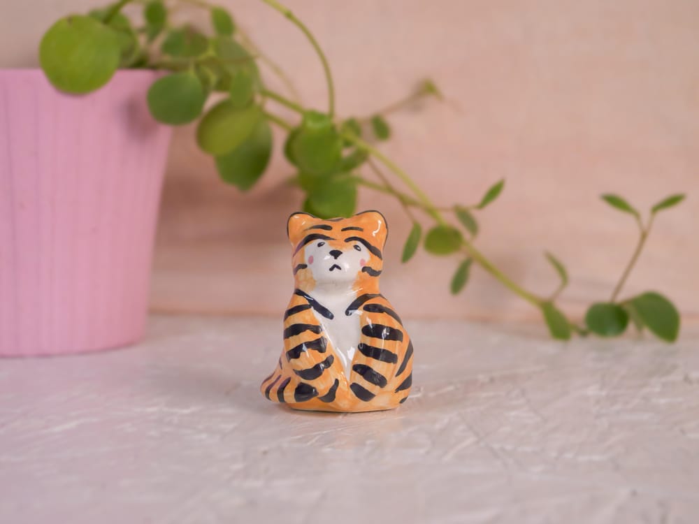 majoliCAT fall product photoshoot - image 1 - student project