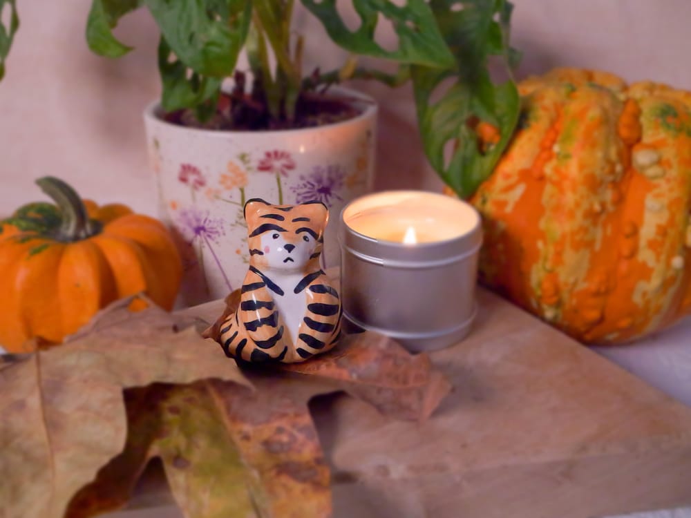 majoliCAT fall product photoshoot - image 3 - student project
