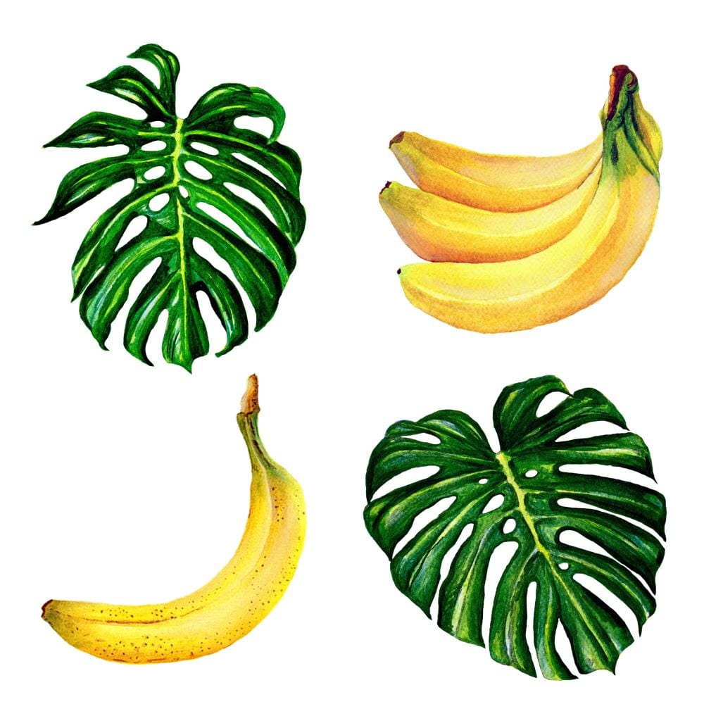 Monsteras and Bananas - image 1 - student project