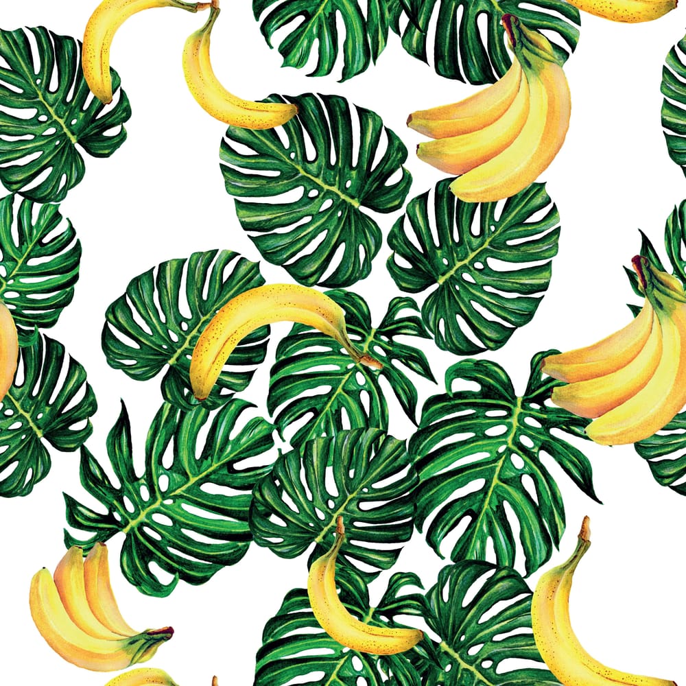 Monsteras and Bananas - image 2 - student project