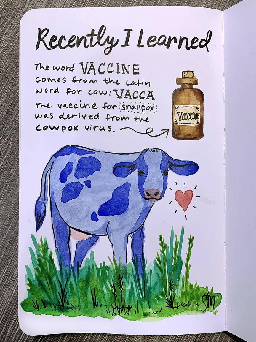 Illustrated Journaling - 14 Prompts - image 9 - student project