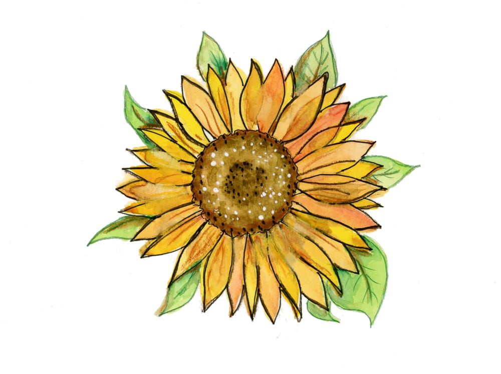 Maple Leaf + Sunflower + Hibiscus - image 2 - student project